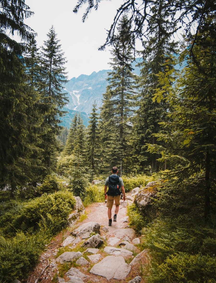 A hiker on a rocky forest trail